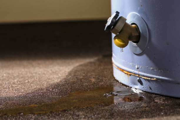 Best Carpet water damage restoration  in Toccoa, GA