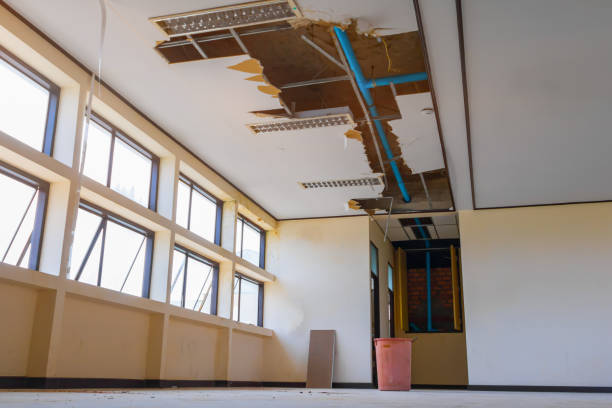 Best Sewage cleanup and water damage restoration  in Toccoa, GA