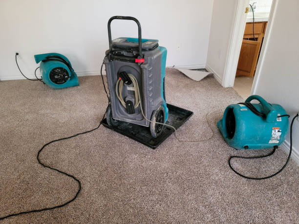  Toccoa, GA Water damage restoration Pros
