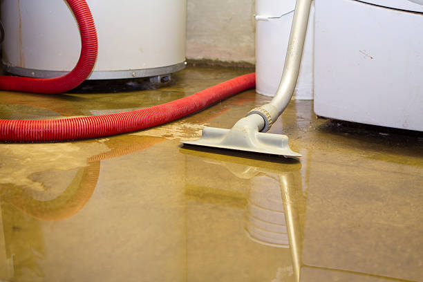 Best Professional water damage repair  in Toccoa, GA
