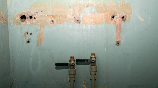 Best 24-hour water damage restoration  in Toccoa, GA