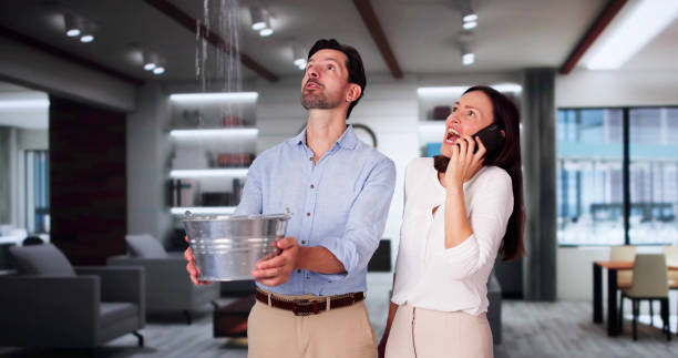 Best Water damage contractors near me  in Toccoa, GA