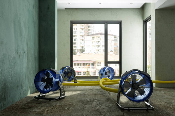 Best Water damage contractors near me  in Toccoa, GA